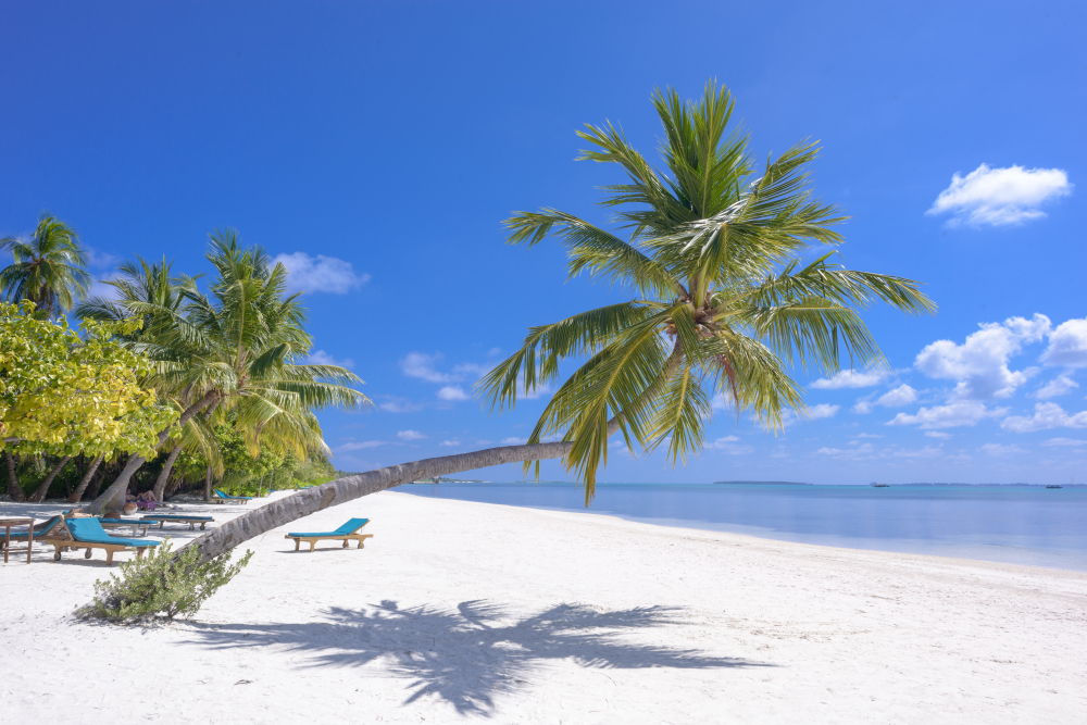 The most beautiful beaches
